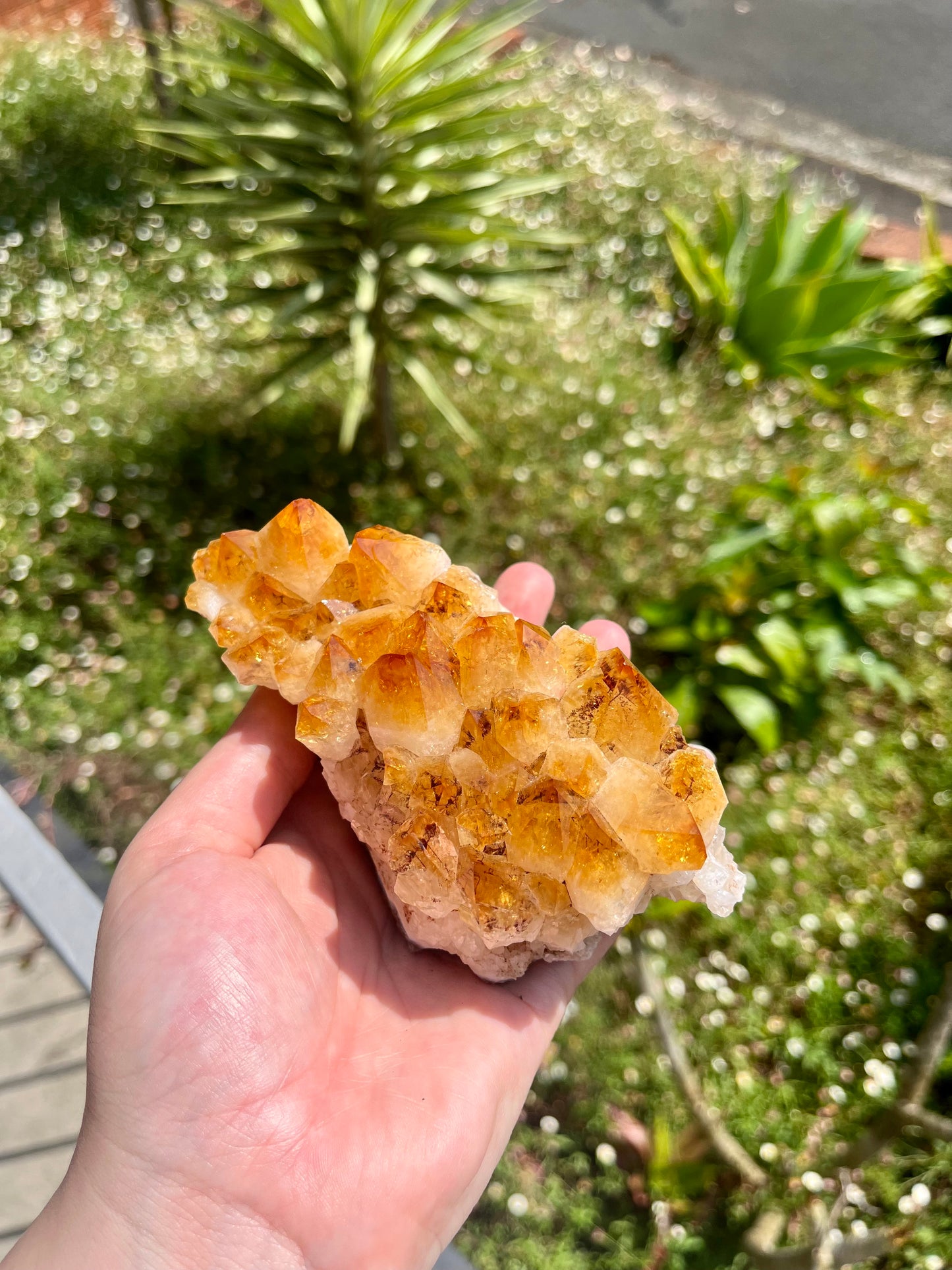 Citrine Cluster