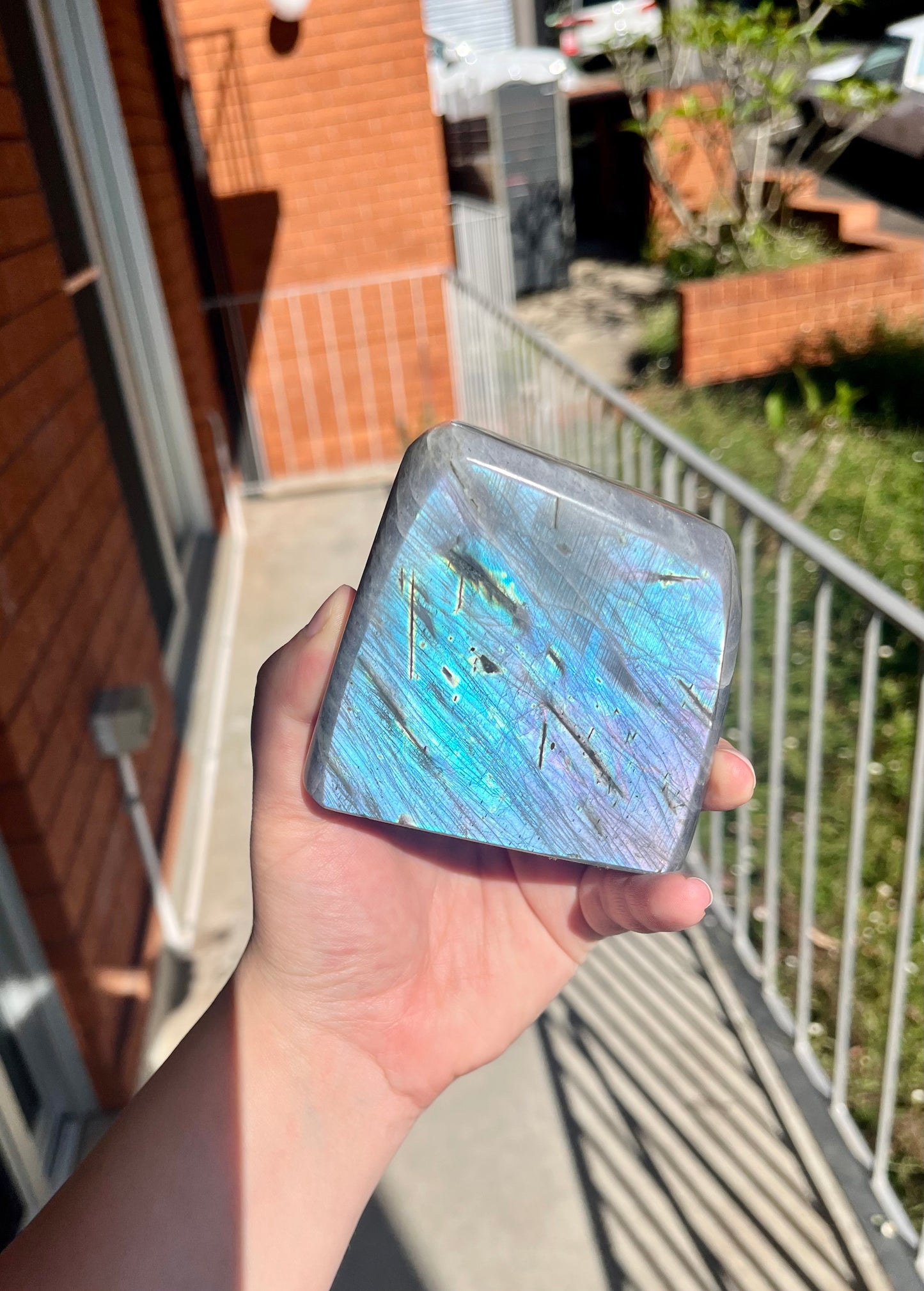 Rainbow Flash Labradorite Freeform