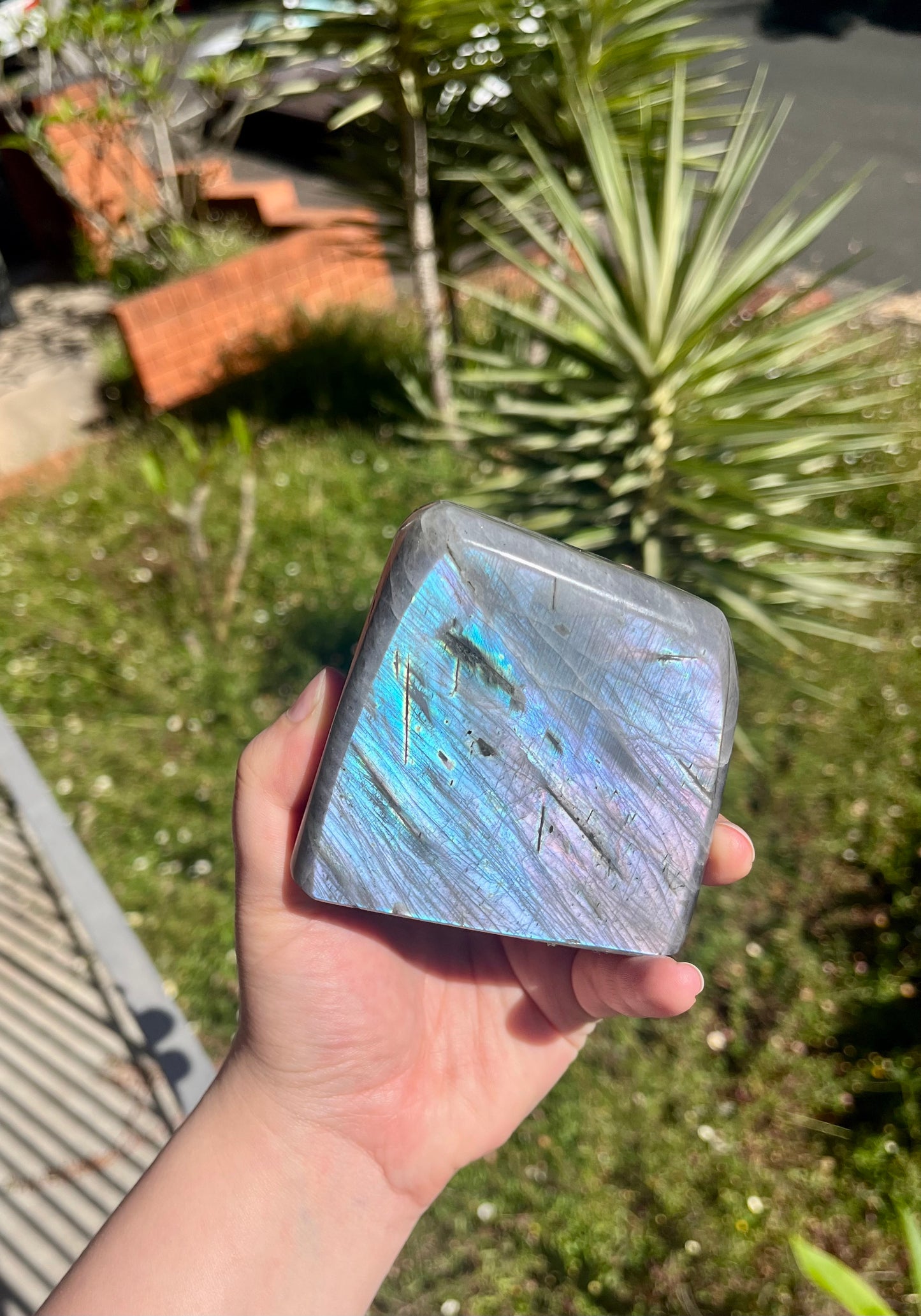 Rainbow Flash Labradorite Freeform