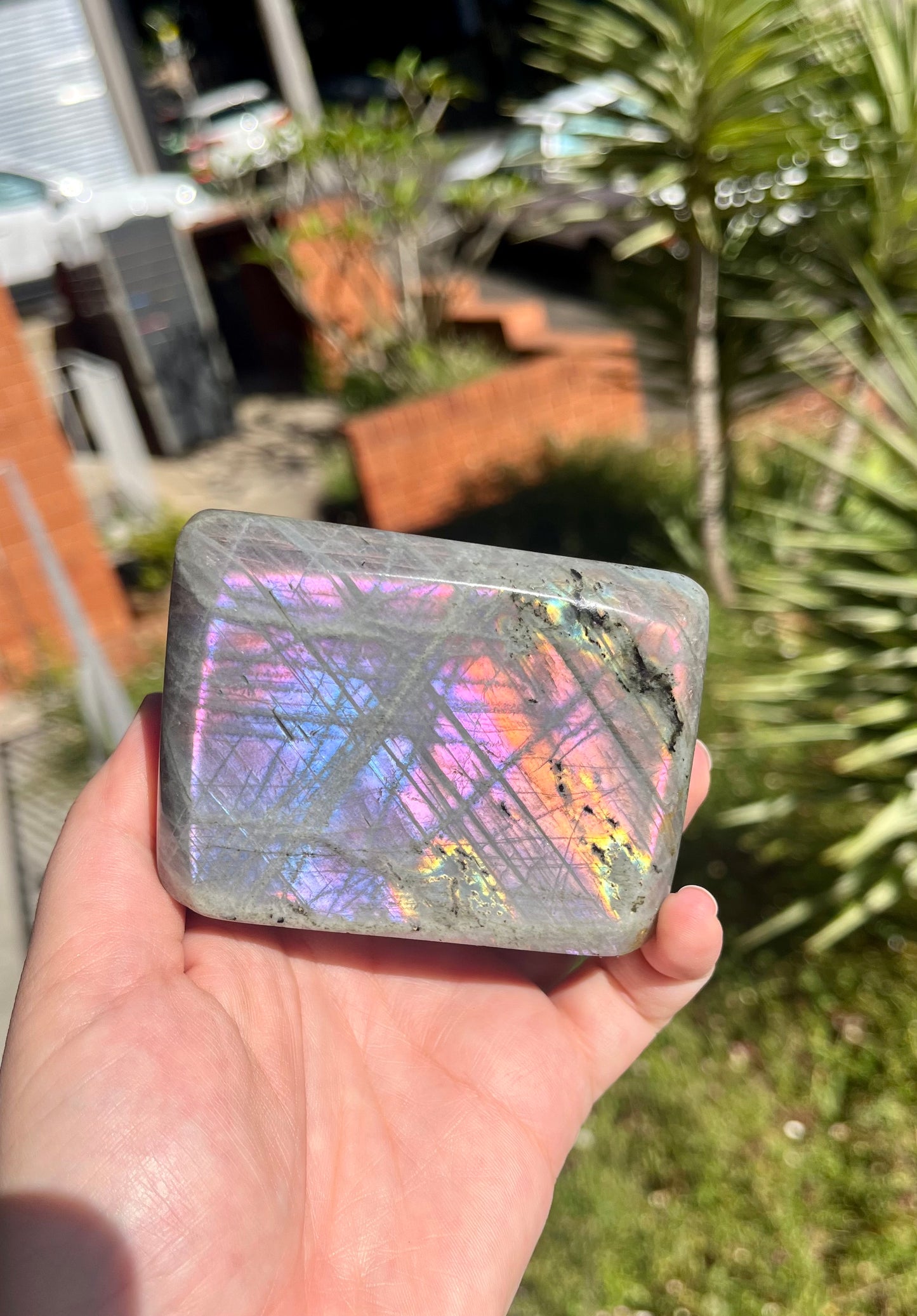Rainbow Flash Labradorite Freeform