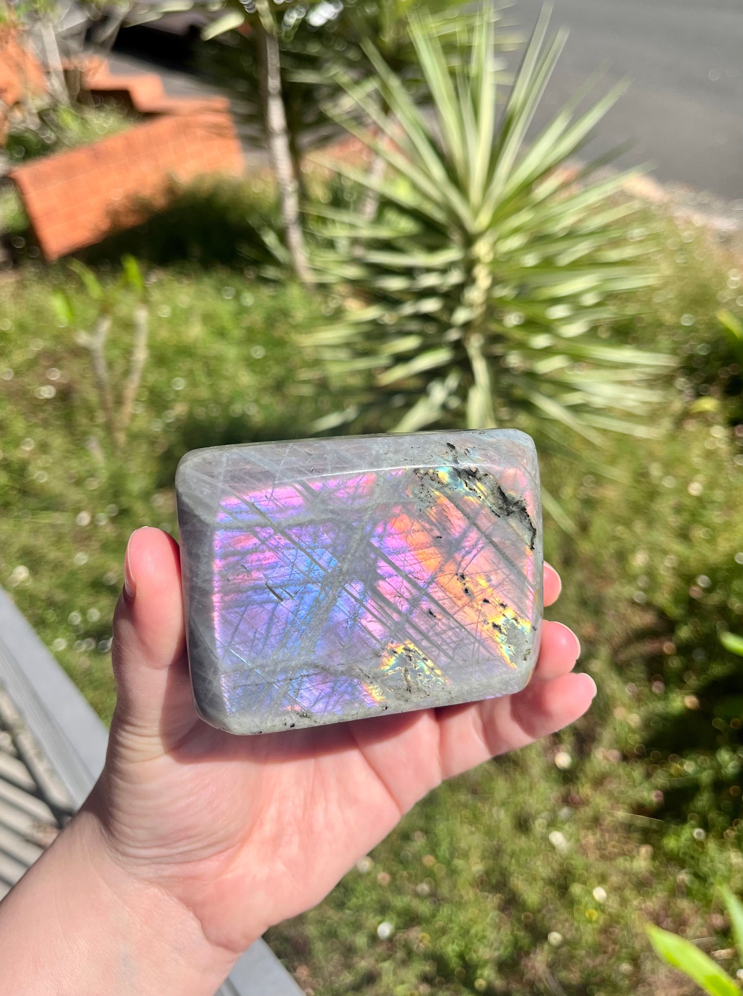 Rainbow Flash Labradorite Freeform
