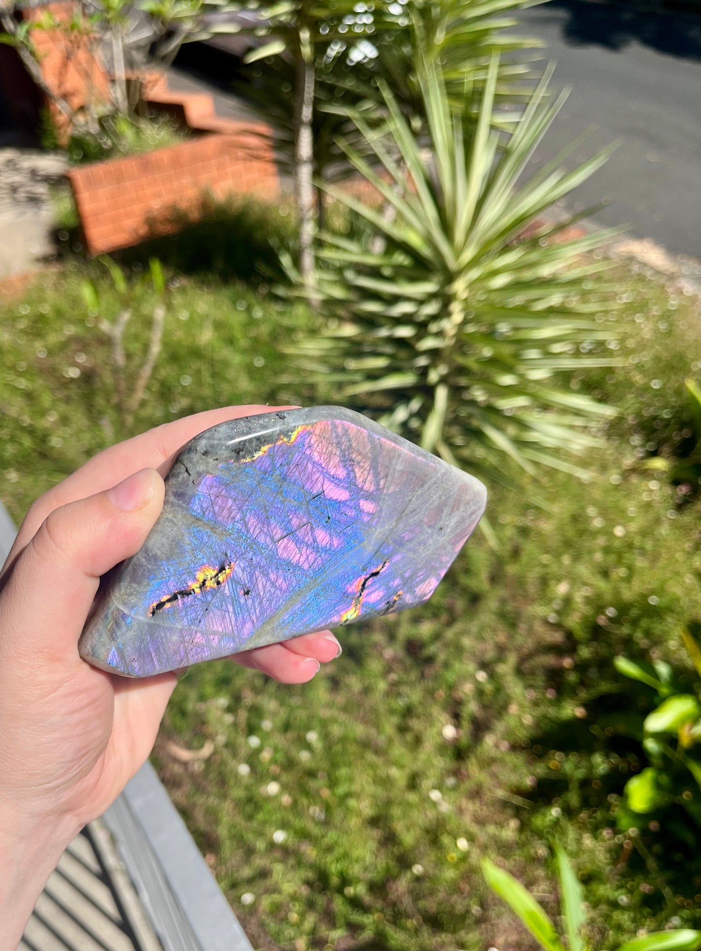 Rainbow Flash Labradorite Freeform