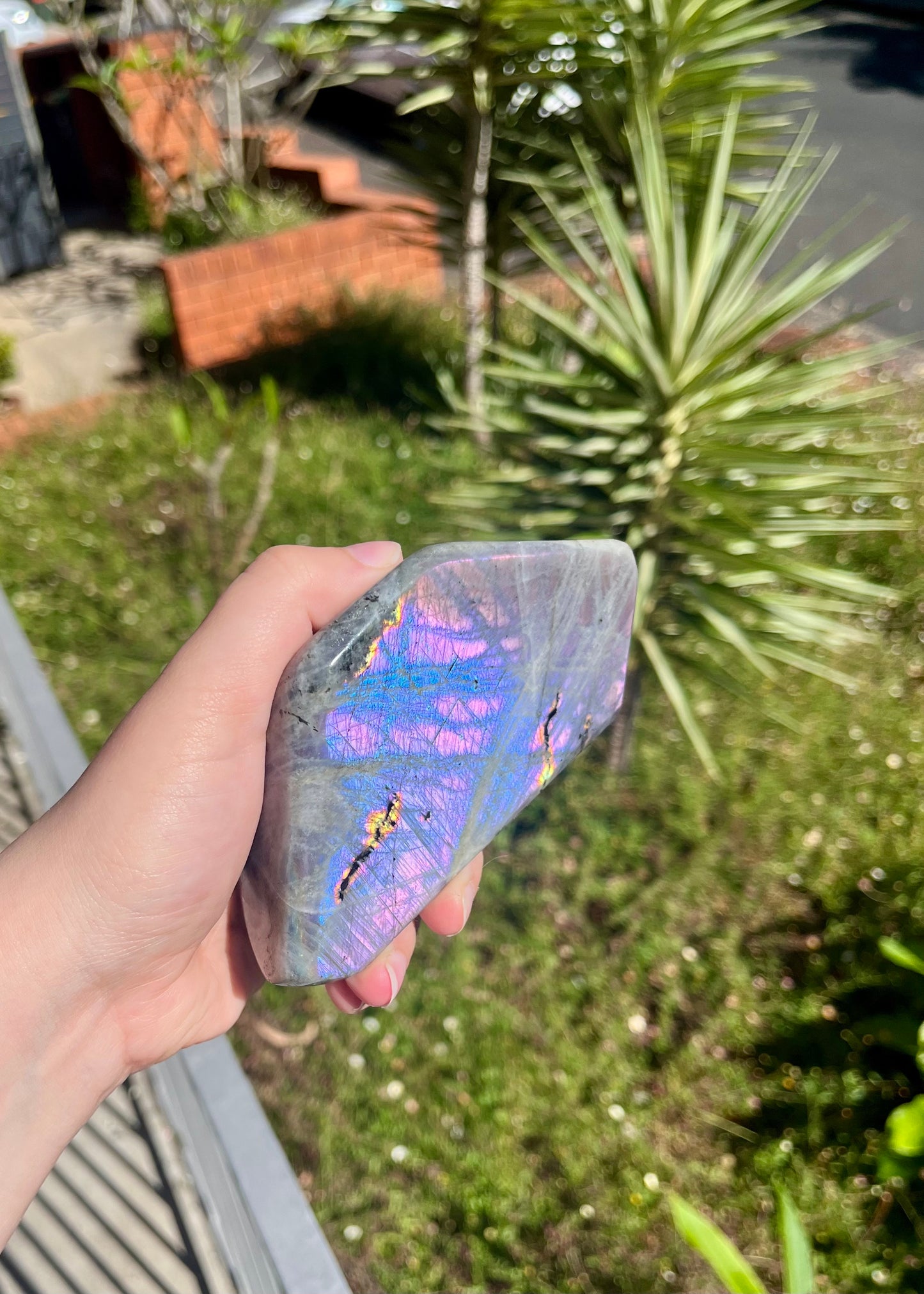 Rainbow Flash Labradorite Freeform