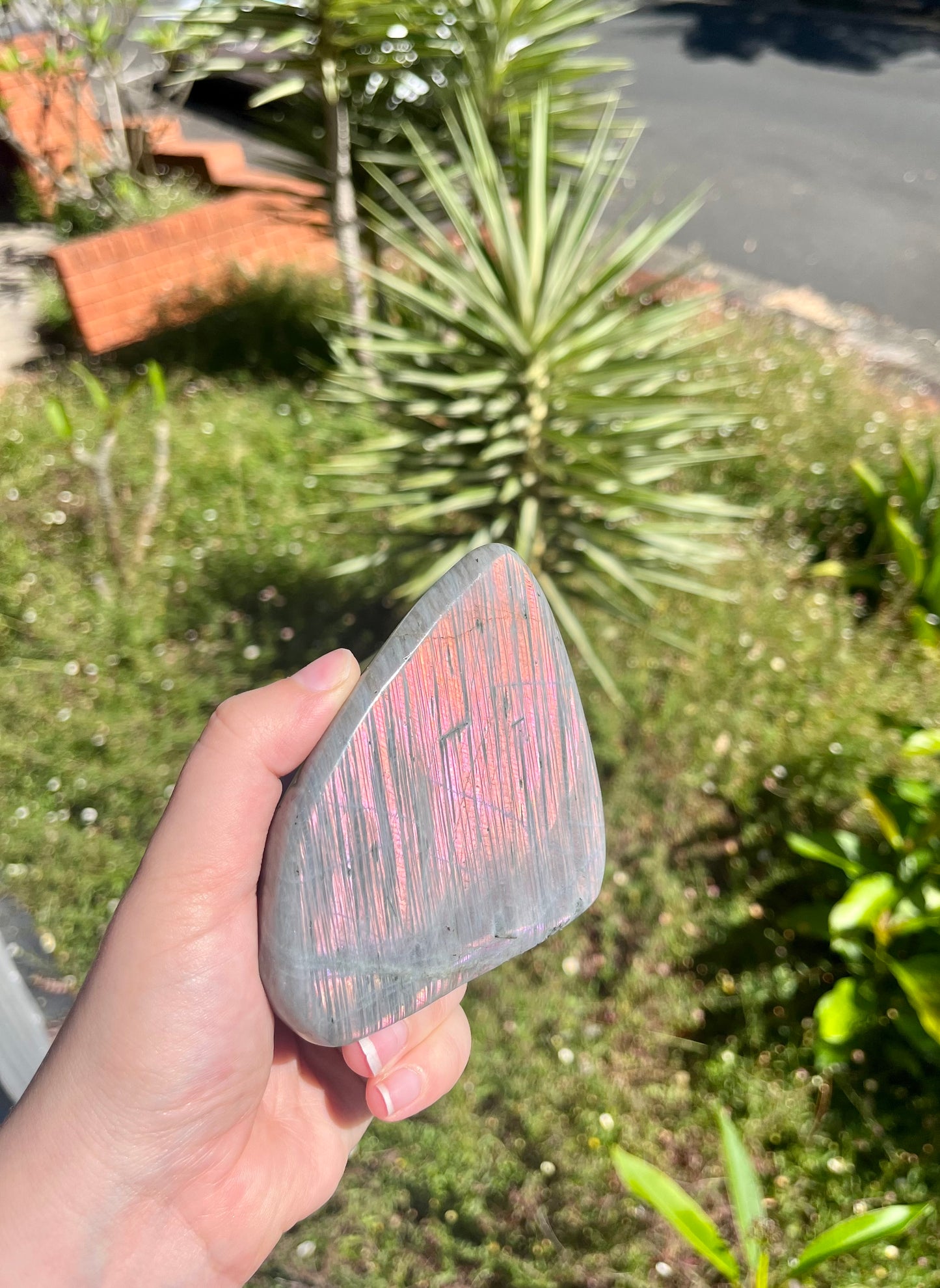 Rainbow Flash Labradorite Freeform