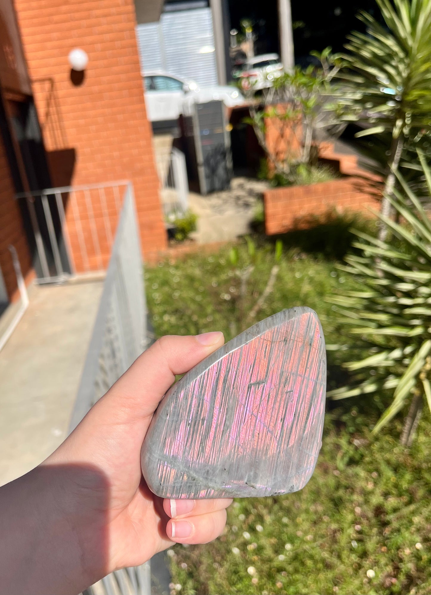 Rainbow Flash Labradorite Freeform