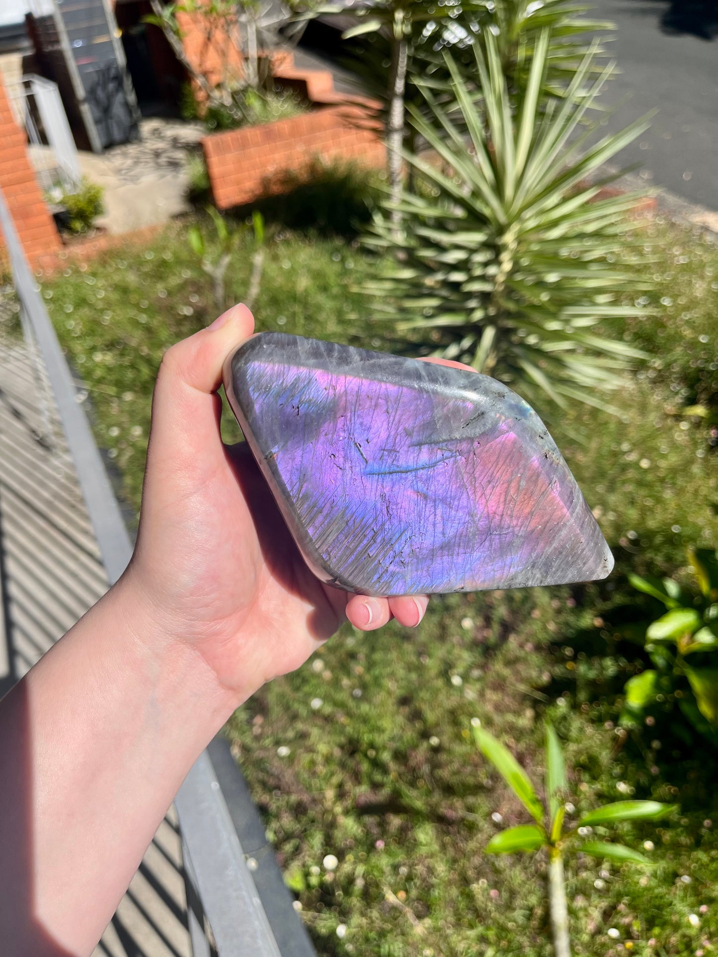 Rainbow Flash Labradorite Freeform