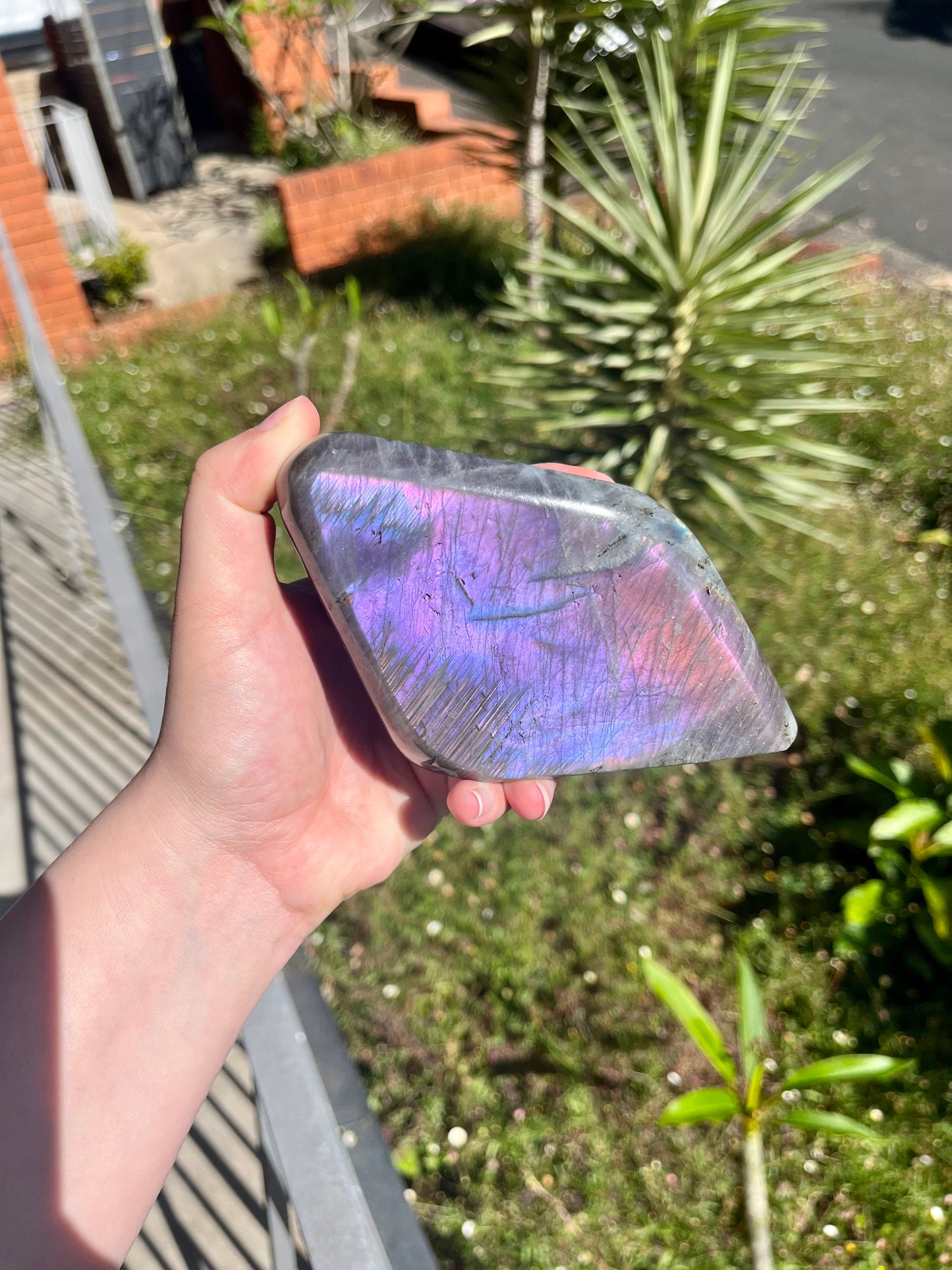 Rainbow Flash Labradorite Freeform