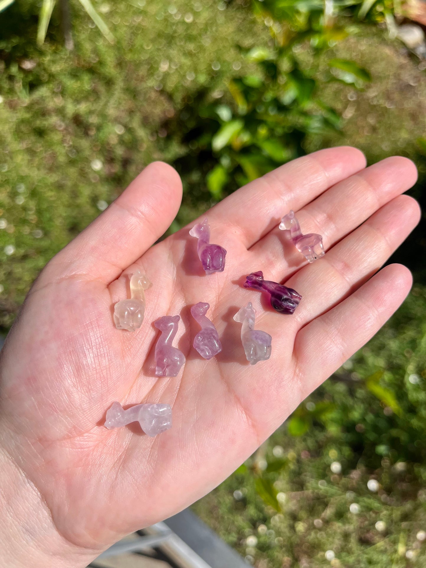 Mini Llama Rainbow Fluorite Carving