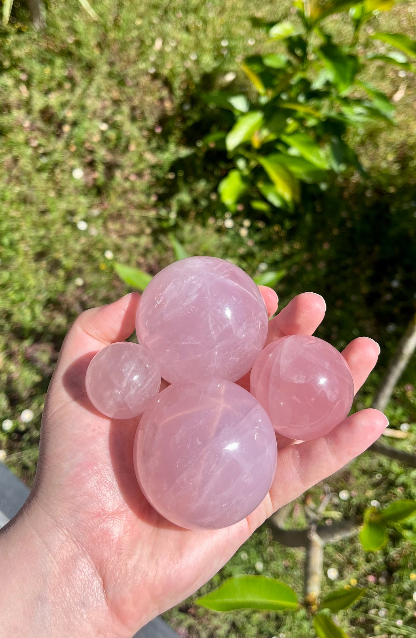 Rose Quartz Sphere