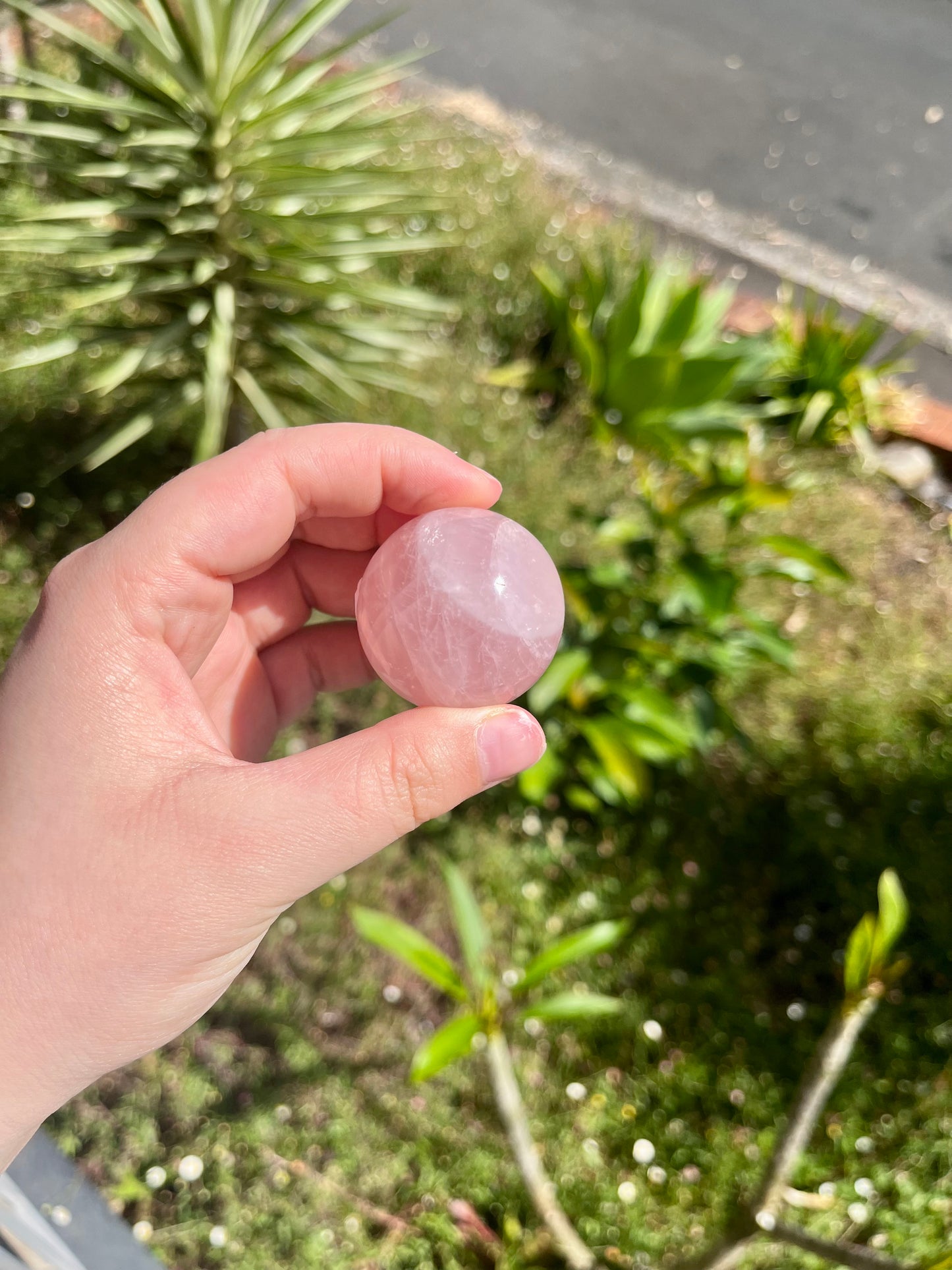 Rose Quartz Sphere