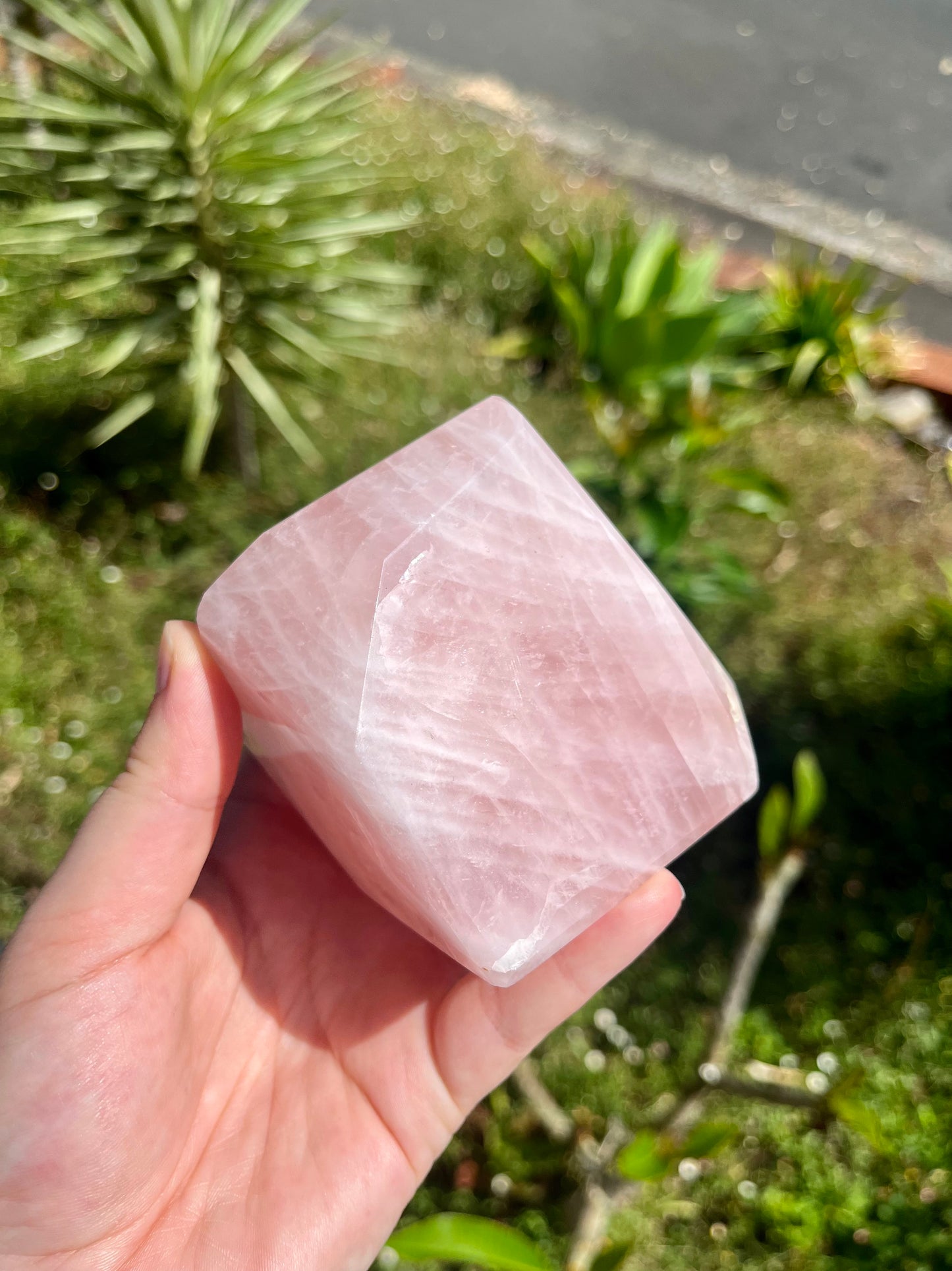 Juicy Rose Quartz Faceted Freeforms