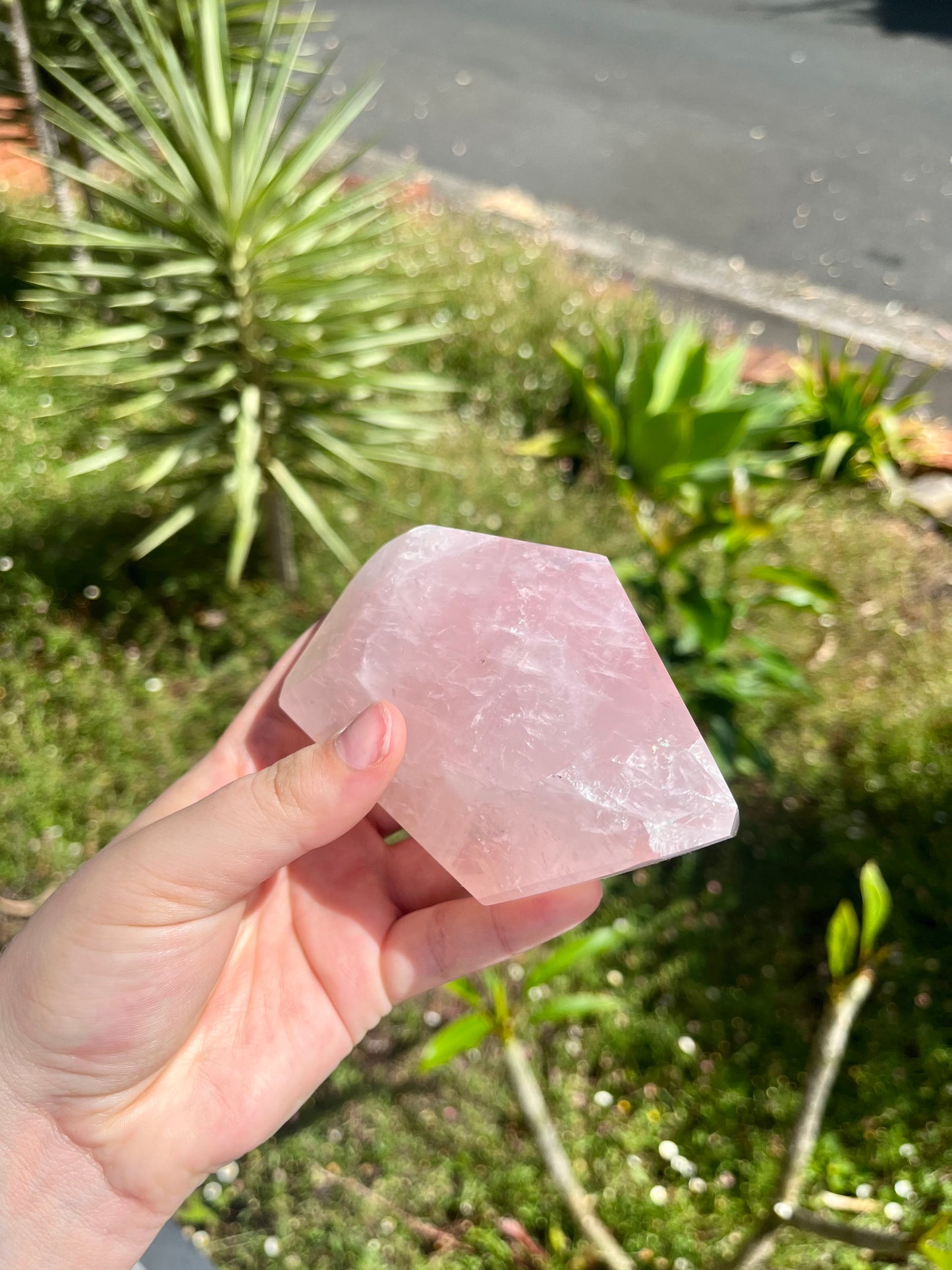 Juicy Rose Quartz Faceted Freeforms