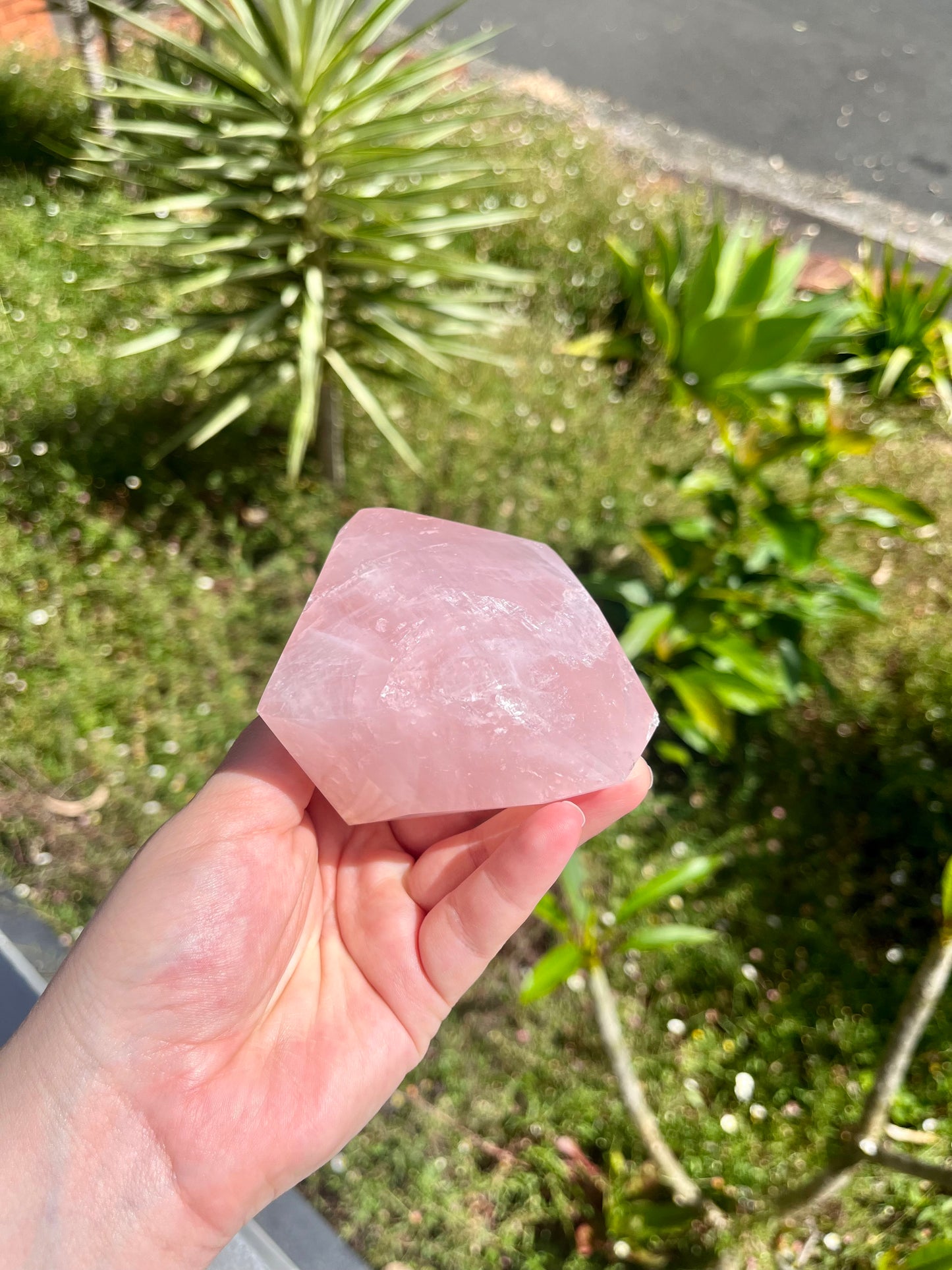 Juicy Rose Quartz Faceted Freeforms