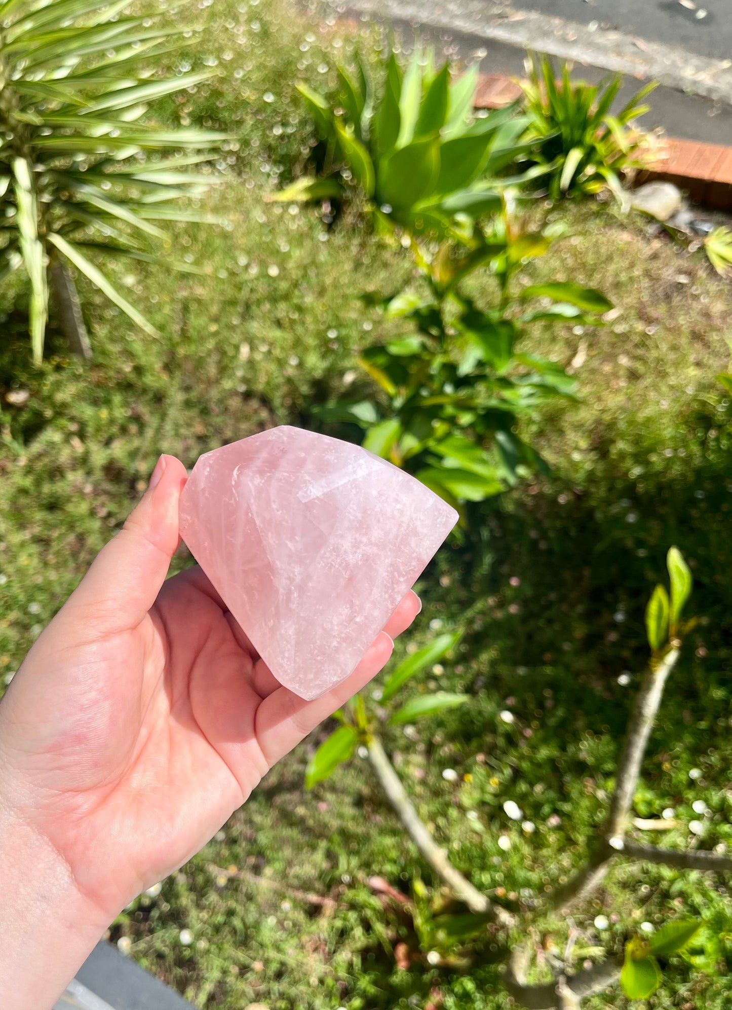 Juicy Rose Quartz Faceted Freeforms