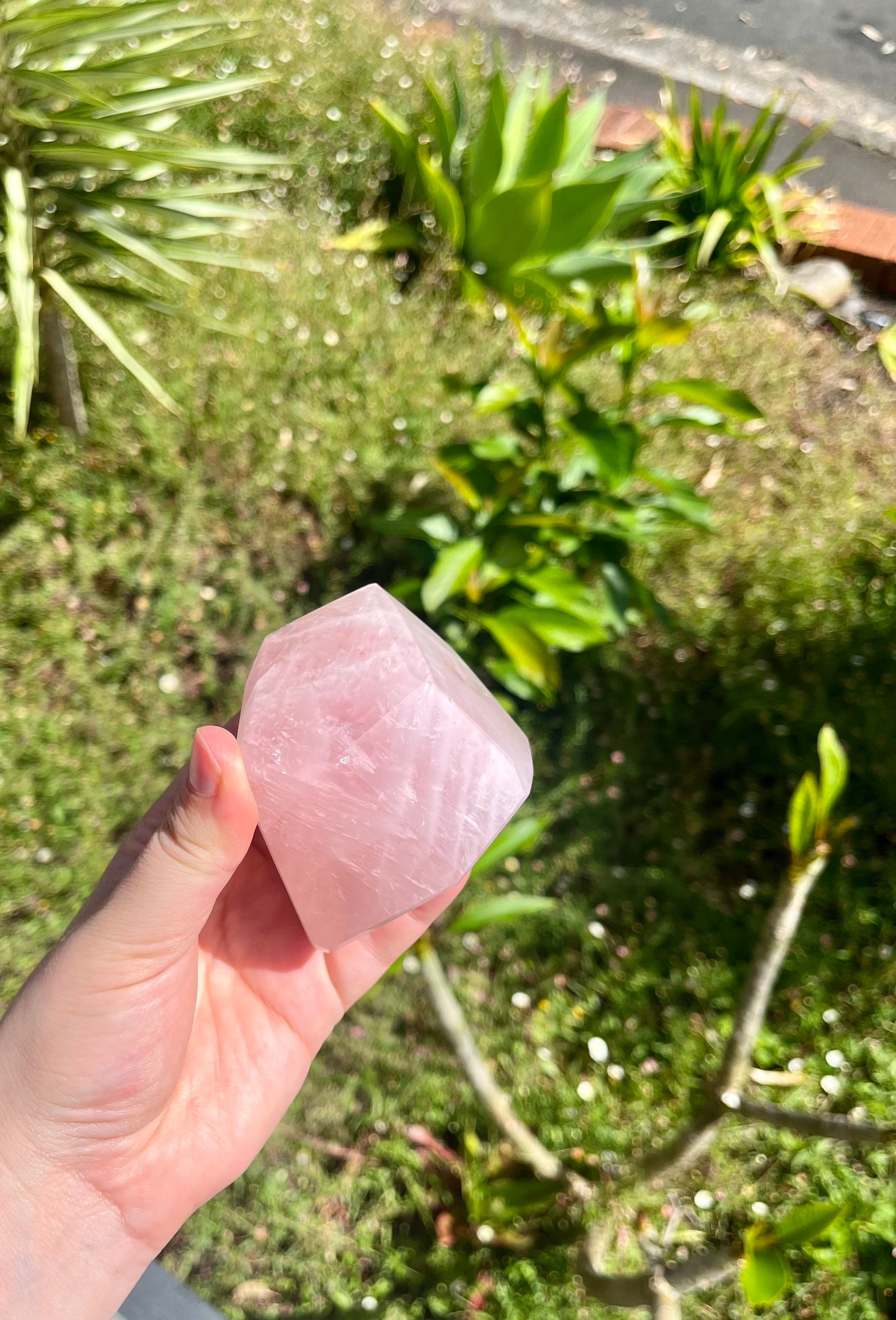 Juicy Rose Quartz Faceted Freeforms