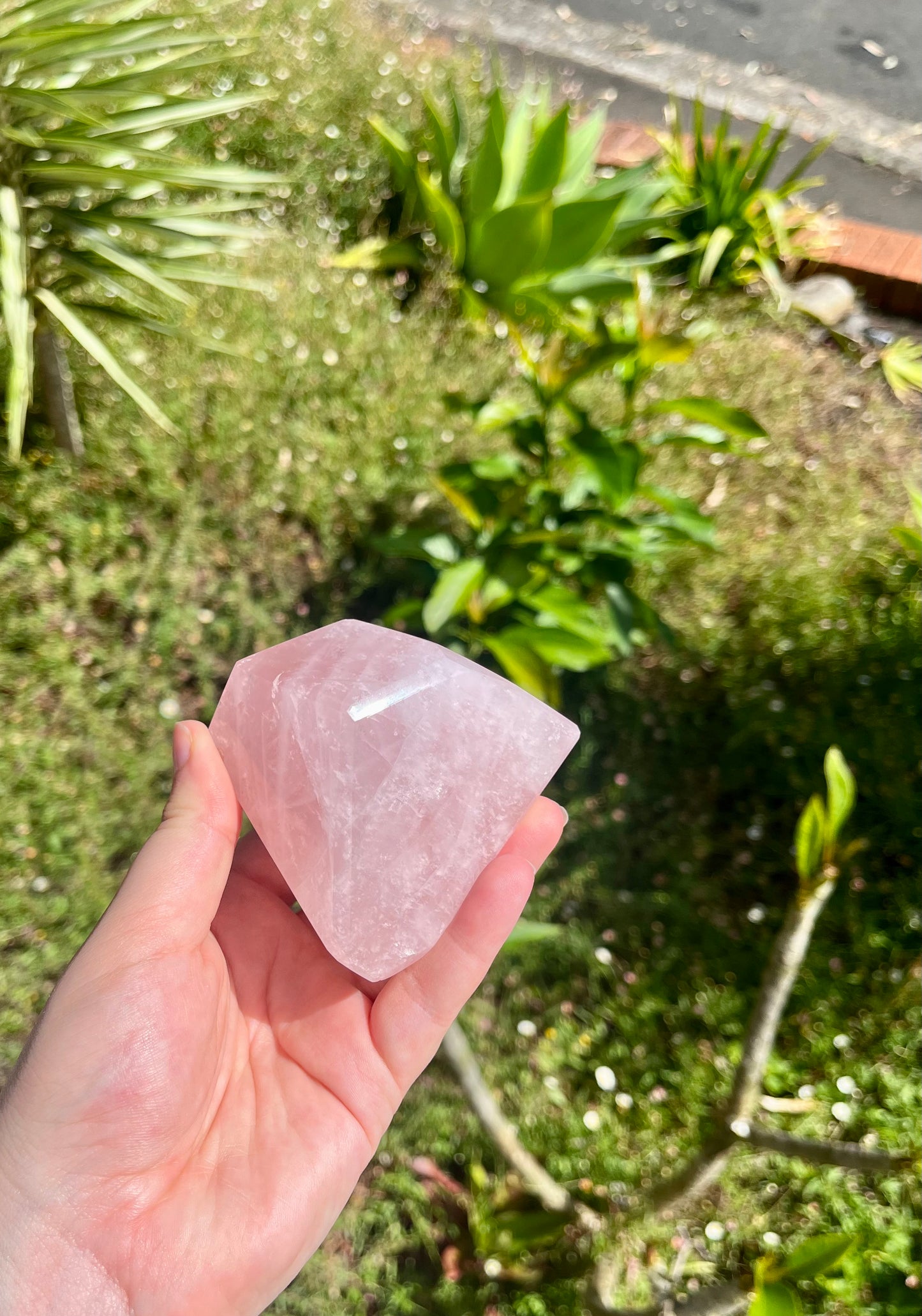 Juicy Rose Quartz Faceted Freeforms
