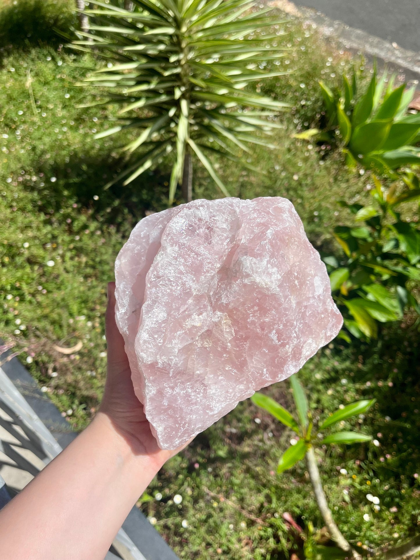 XXL Juicy Rose Quartz Rough