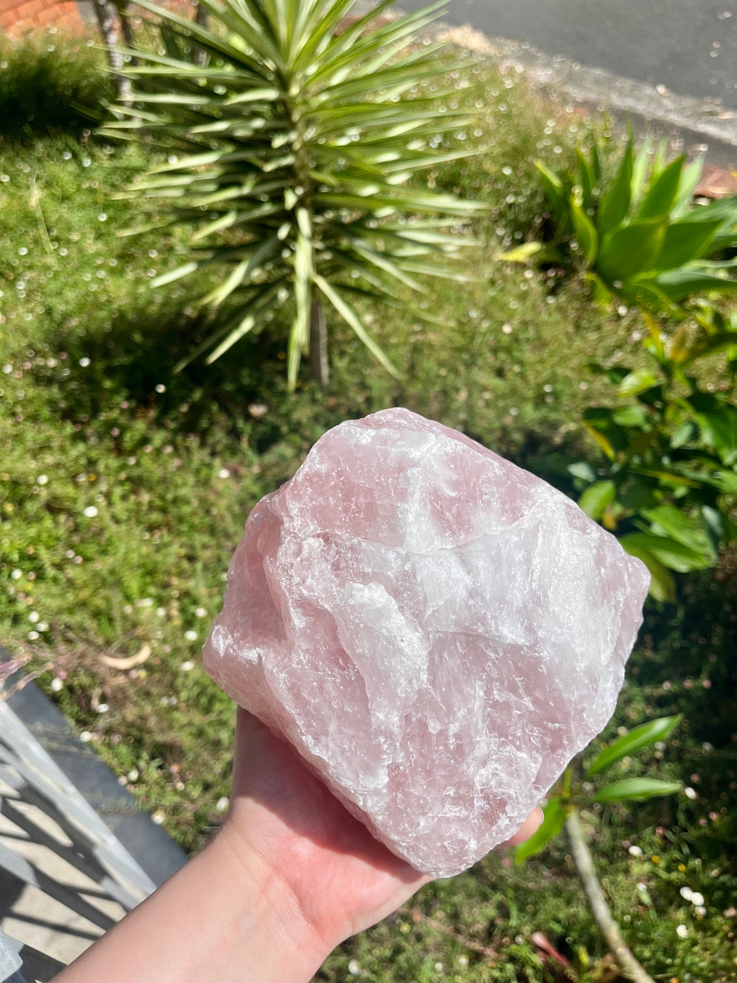 XXL Juicy Rose Quartz Rough