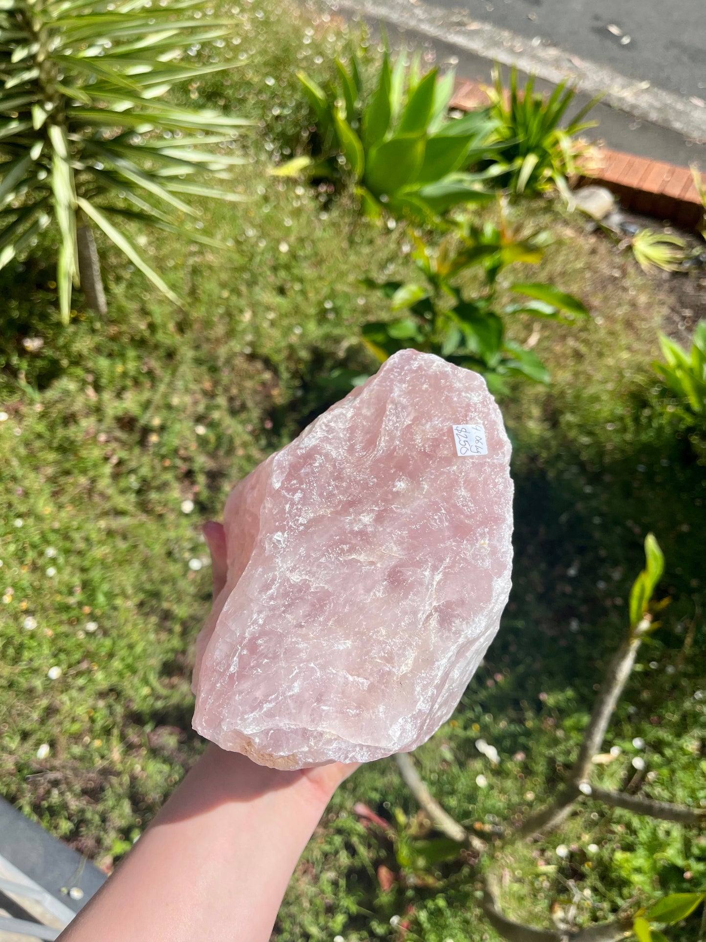 XXL Juicy Rose Quartz Rough