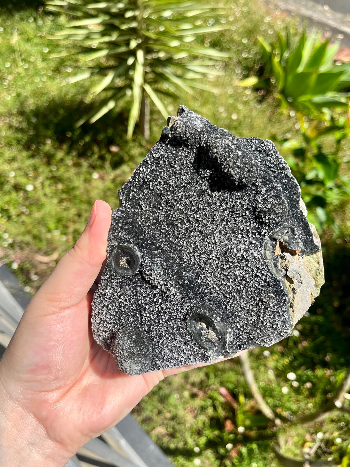 Black Amethyst Cut Base