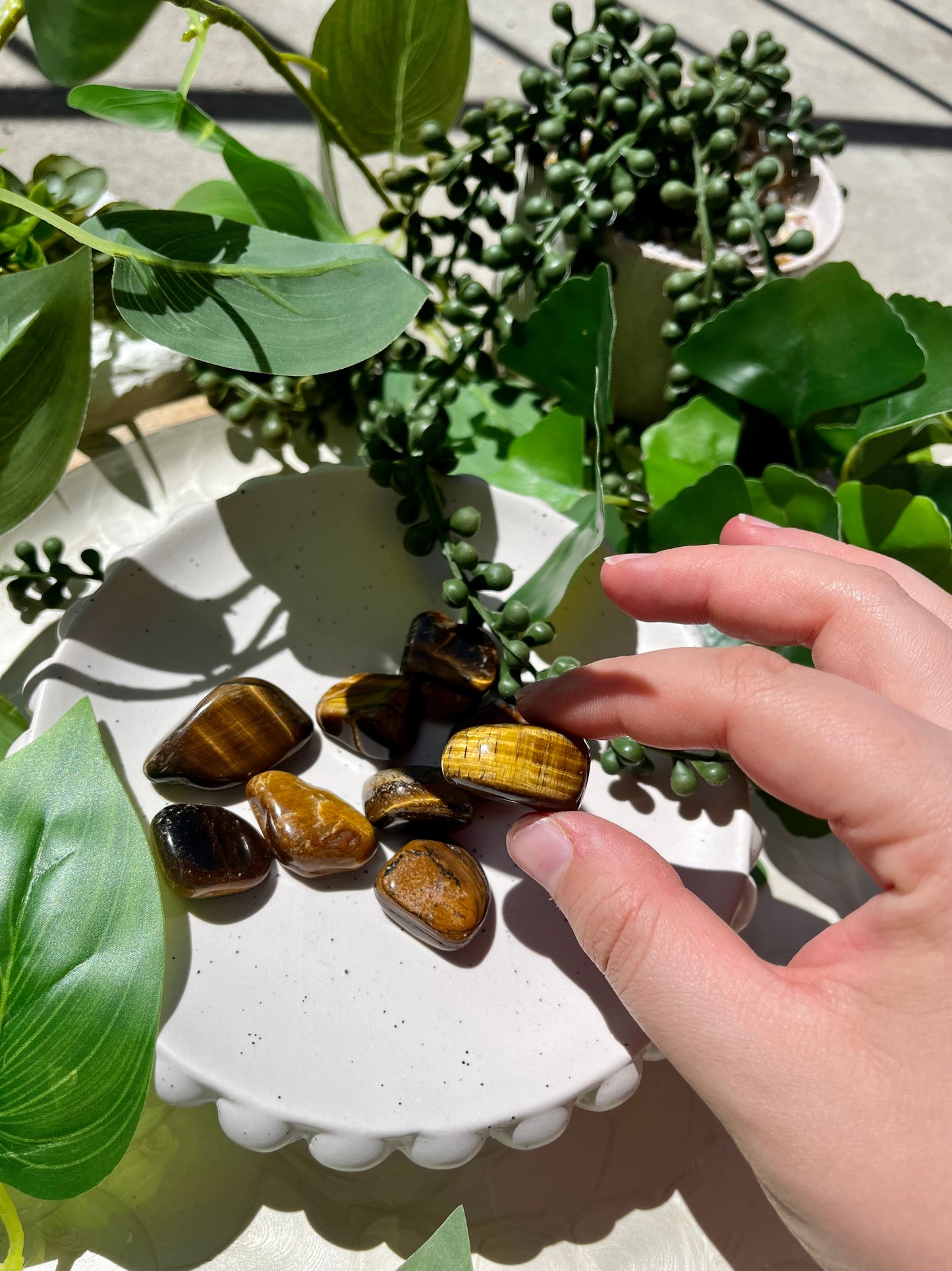 Tigers Eye Tumble