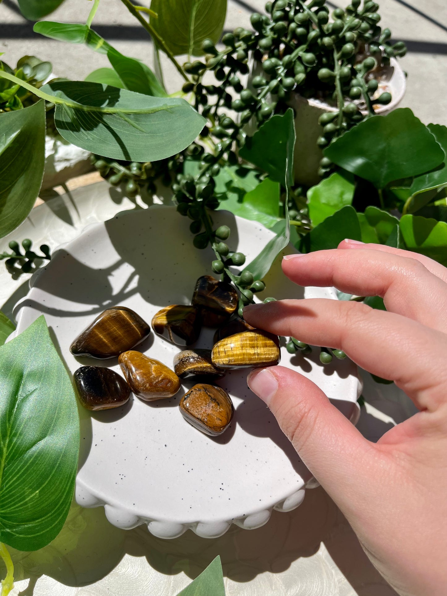 Tigers Eye Tumble