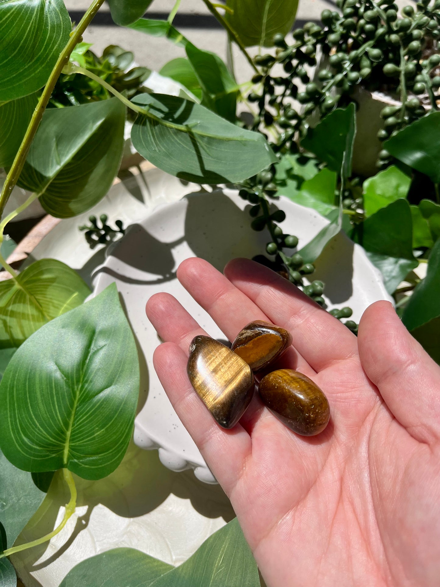 Tigers Eye Tumble