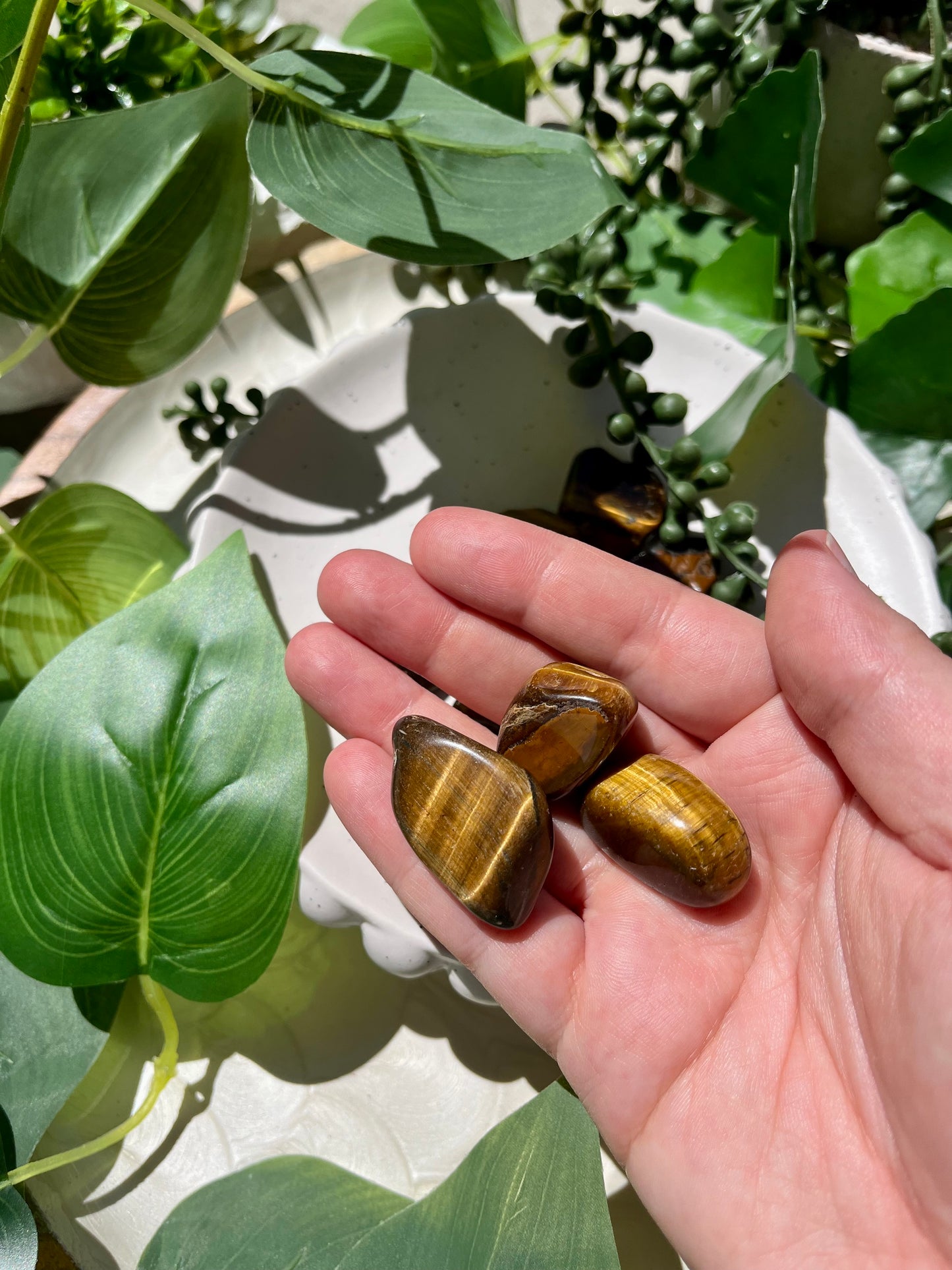 Tigers Eye Tumble
