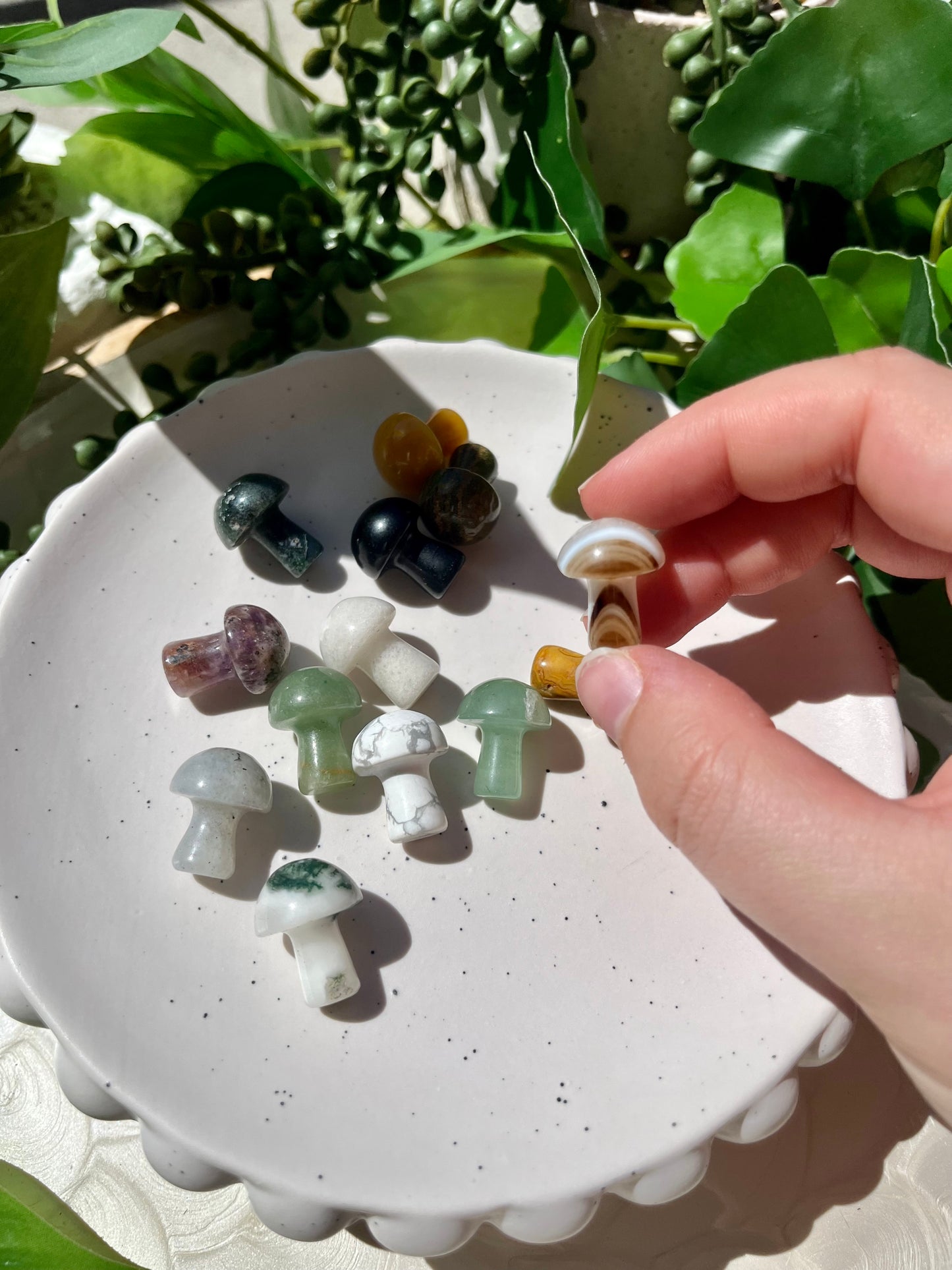 Mini Mystery Pick Mushroom