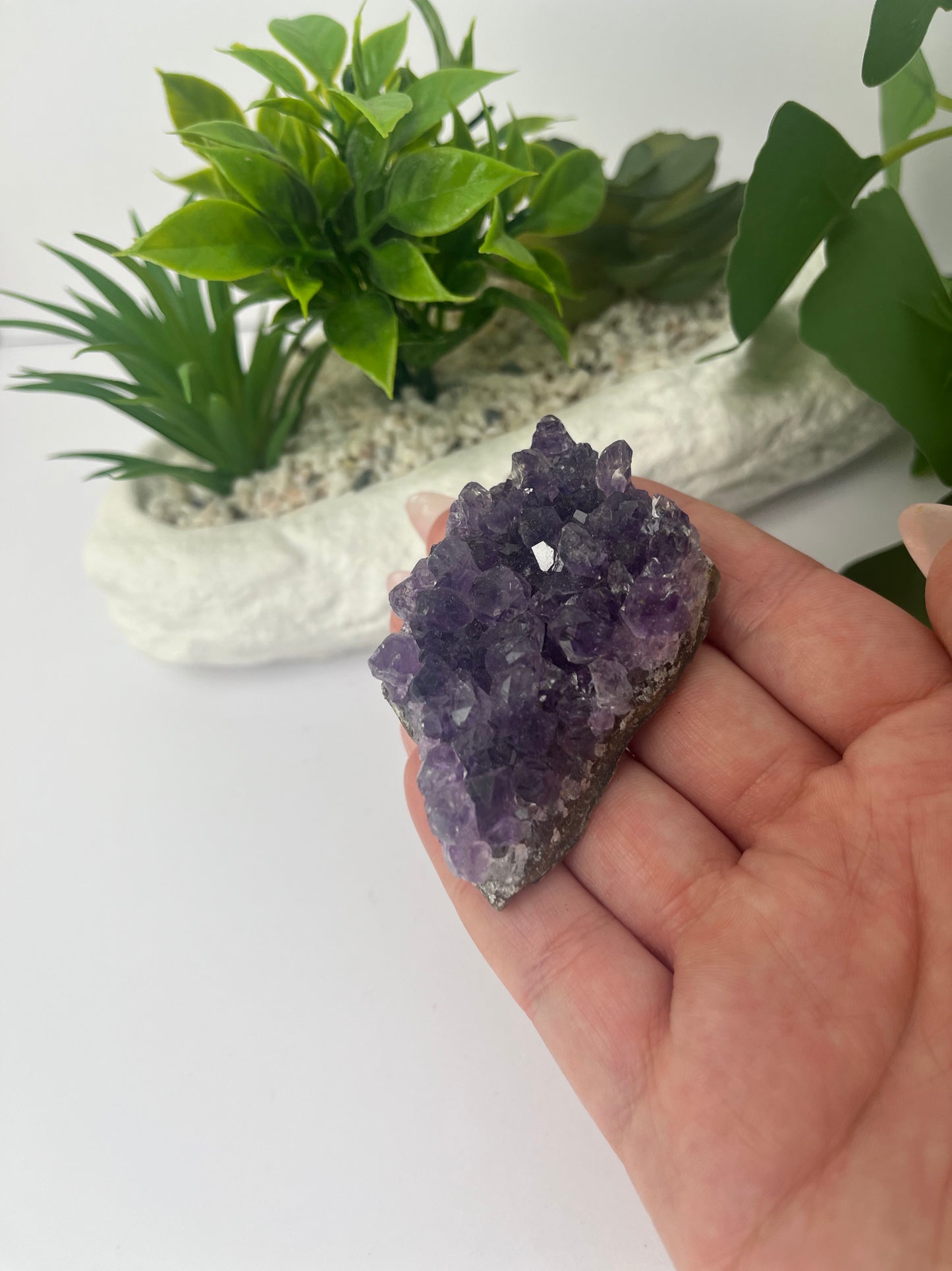 Amethyst Cluster