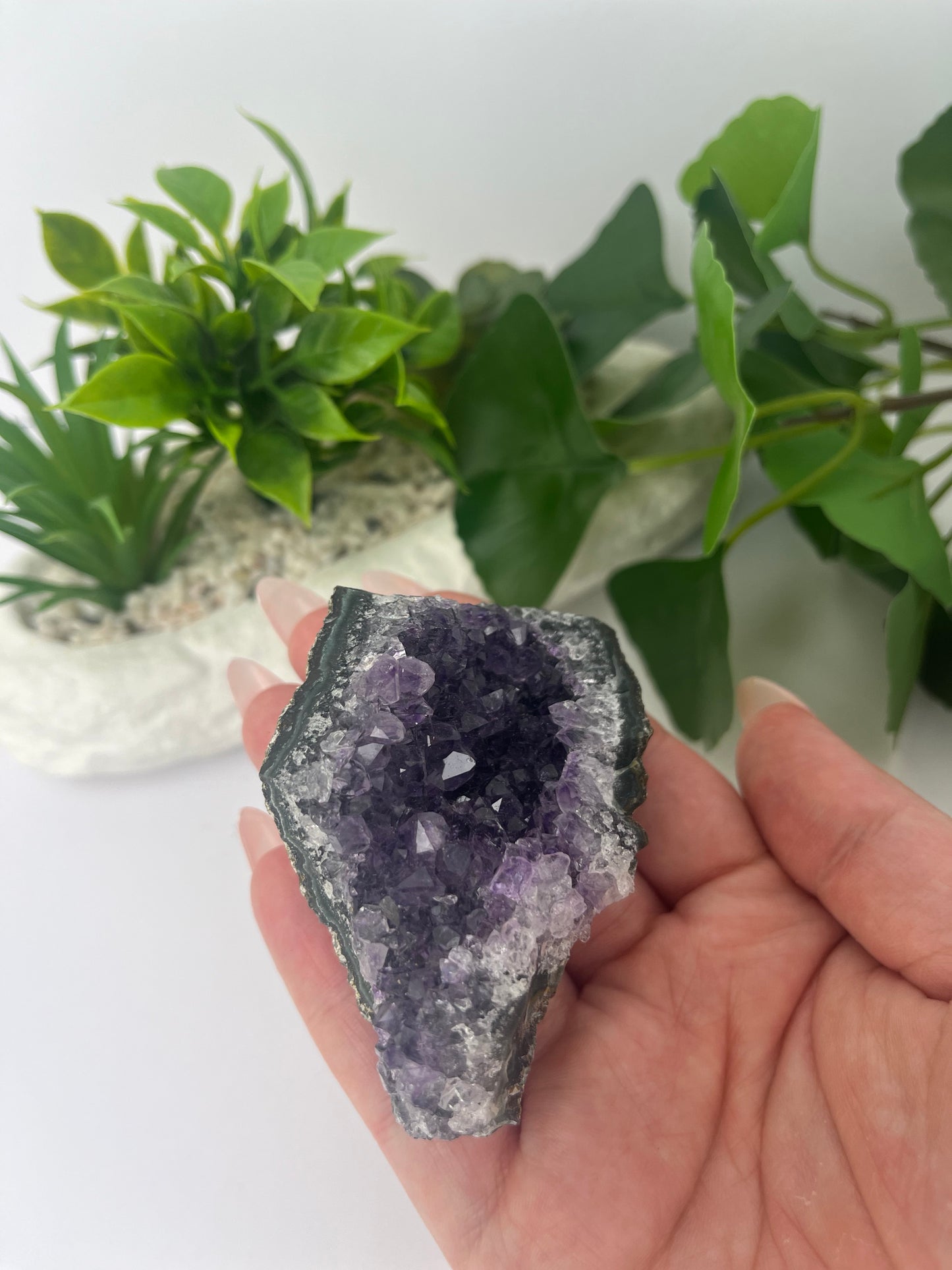 Amethyst Cluster