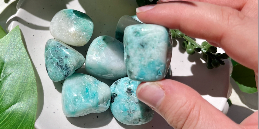 Caitlynn's Live Sale Box