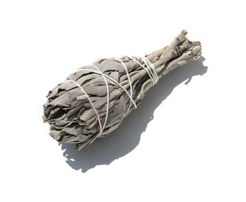 Let's Talk About White Sage...