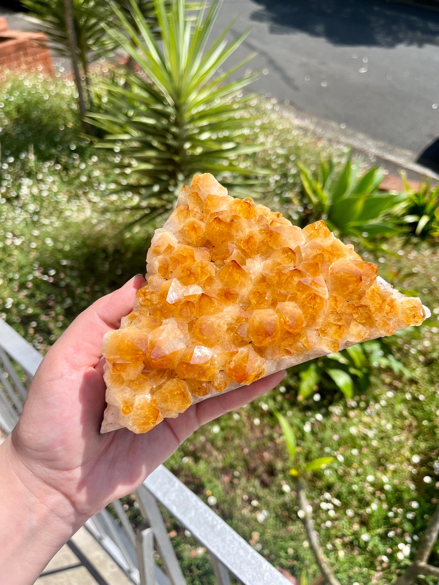Citrine Cluster
