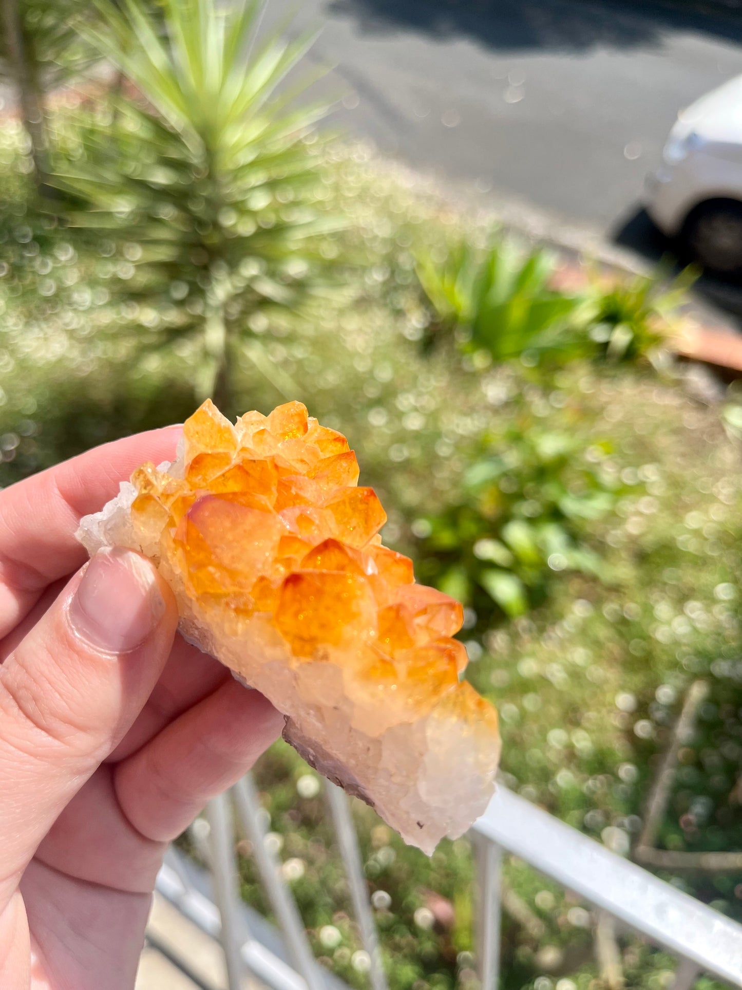 Citrine Cluster