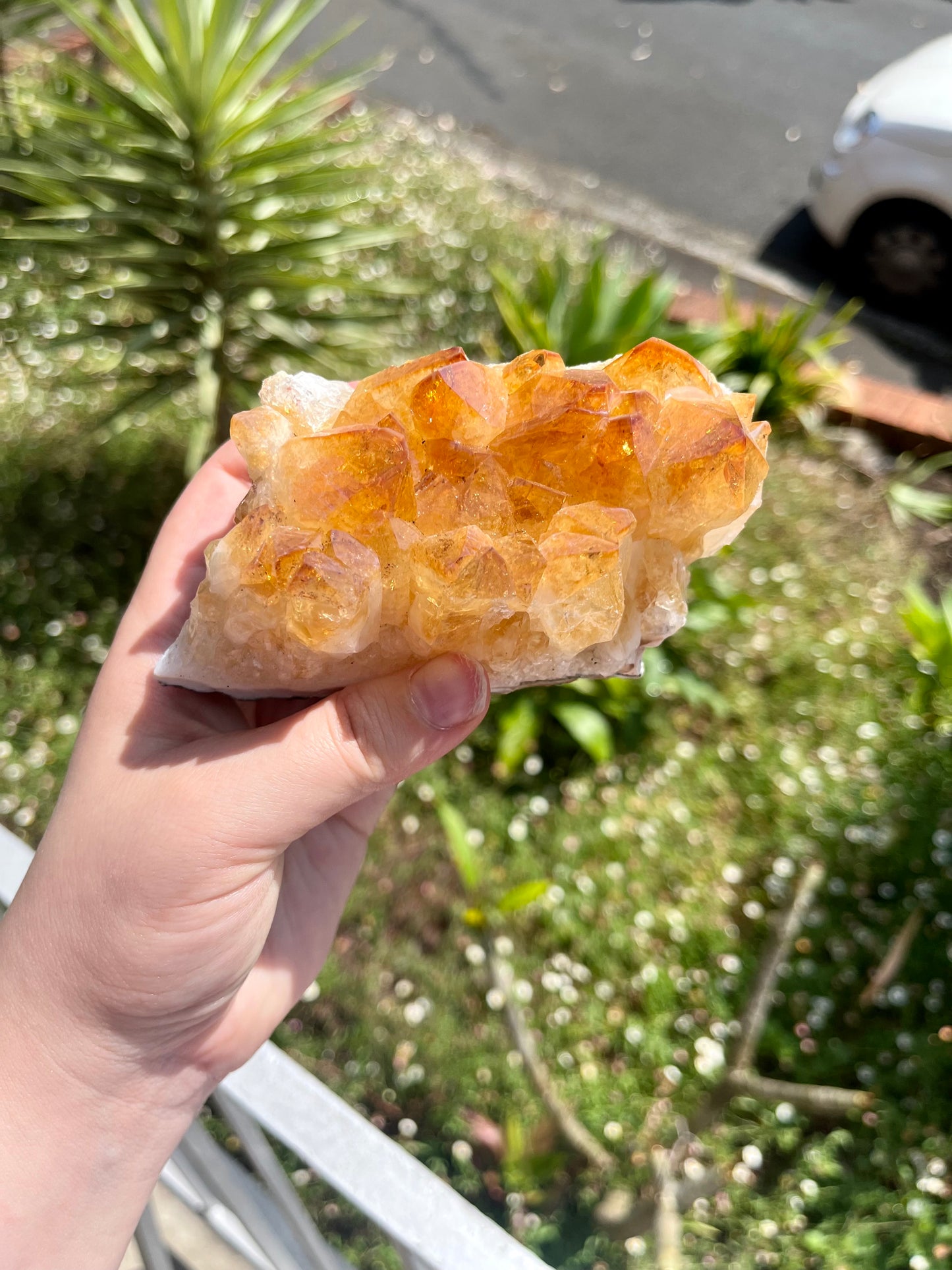 Citrine Cluster