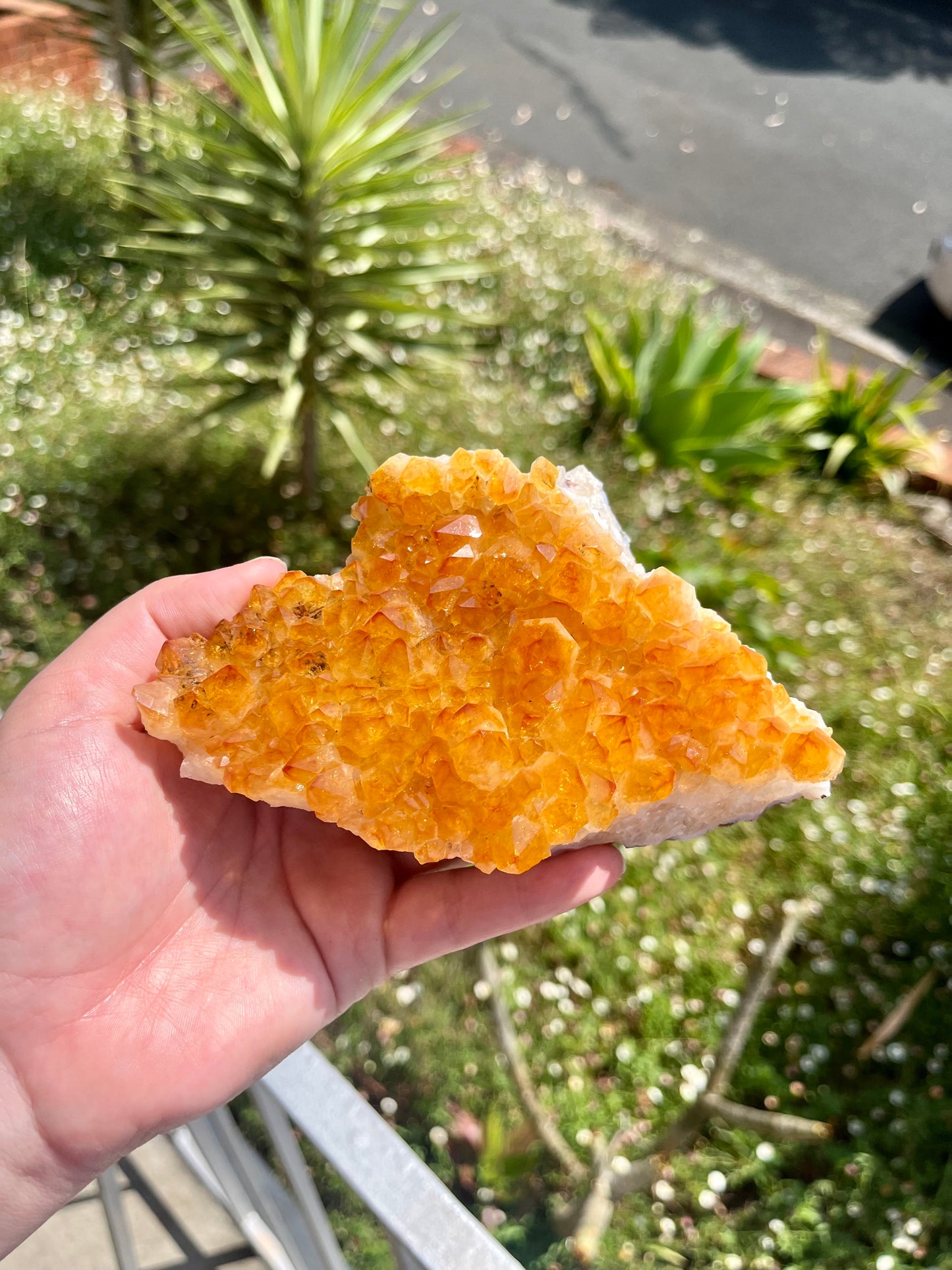 Citrine Cluster