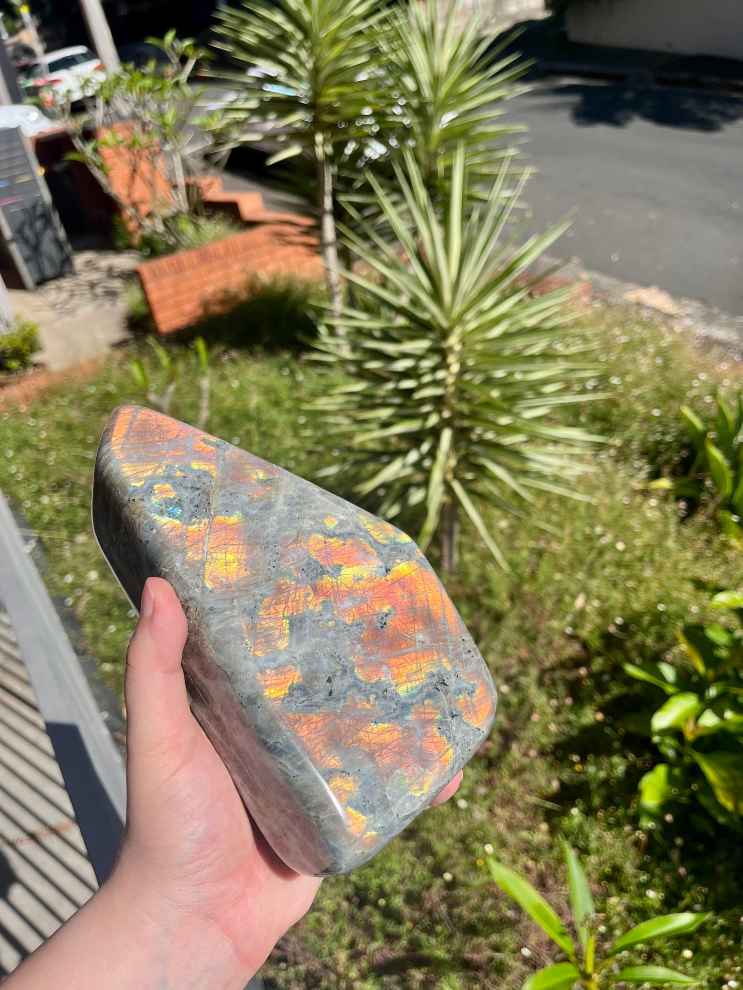 XL Labradorite Free Form