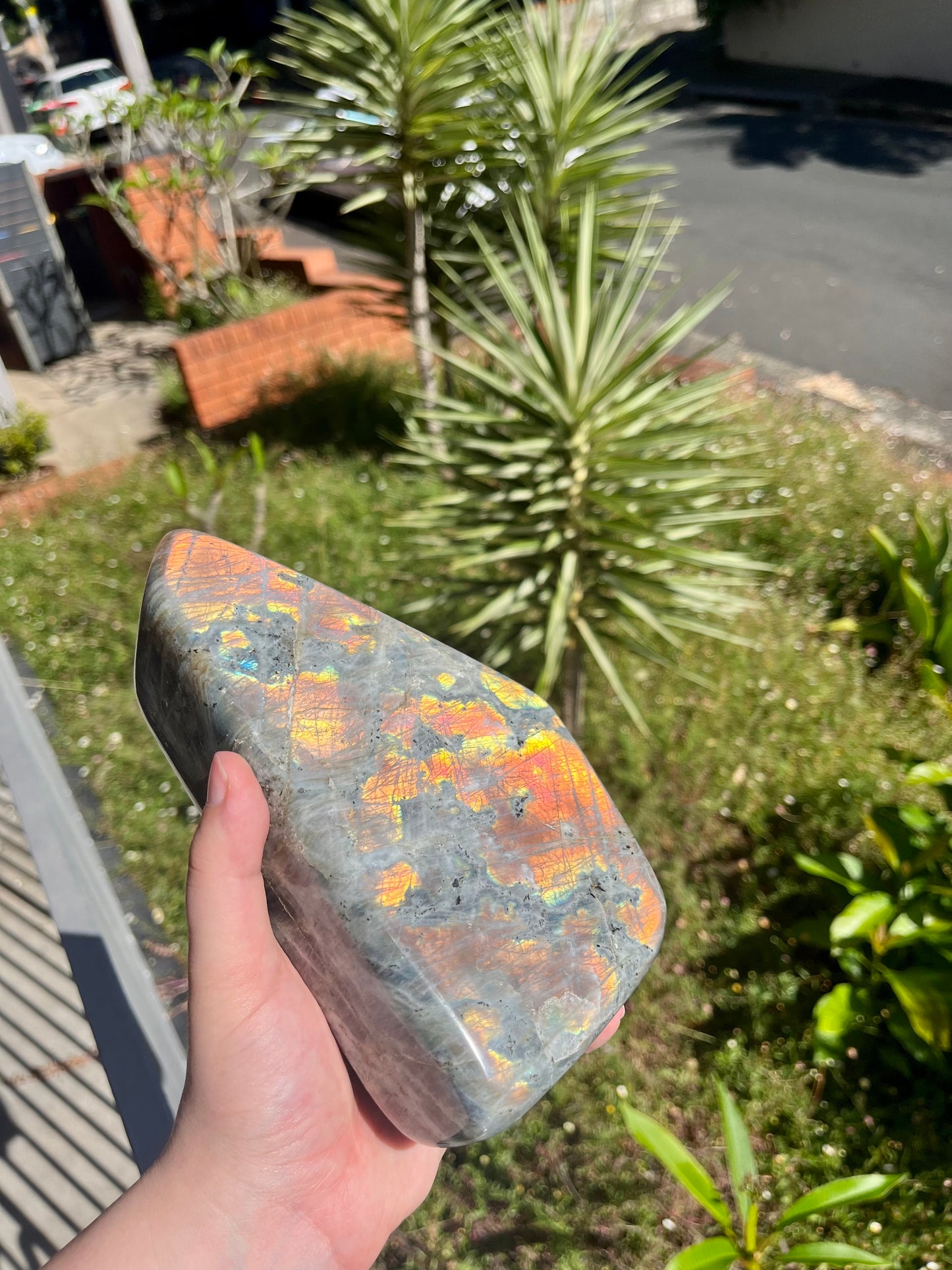 XL Labradorite Free Form