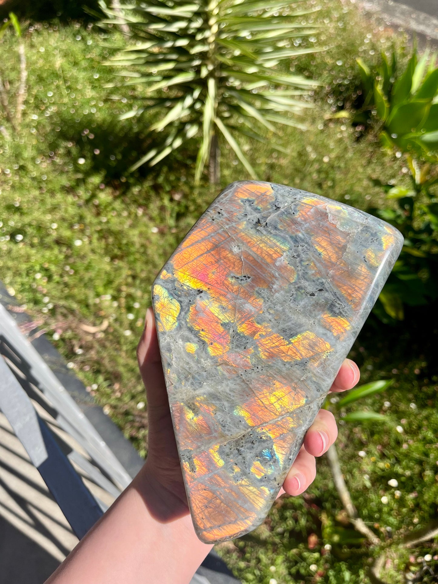 XL Labradorite Free Form