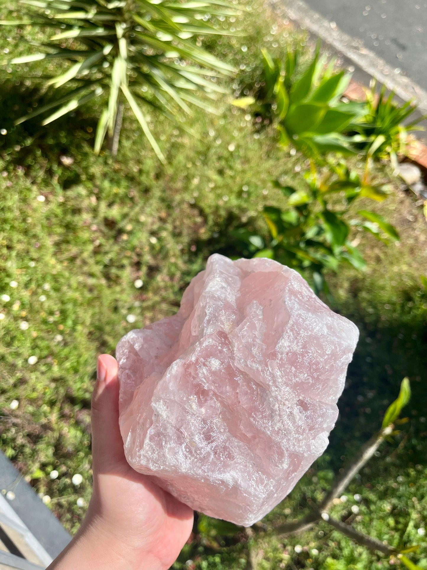 XXL Juicy Rose Quartz Rough