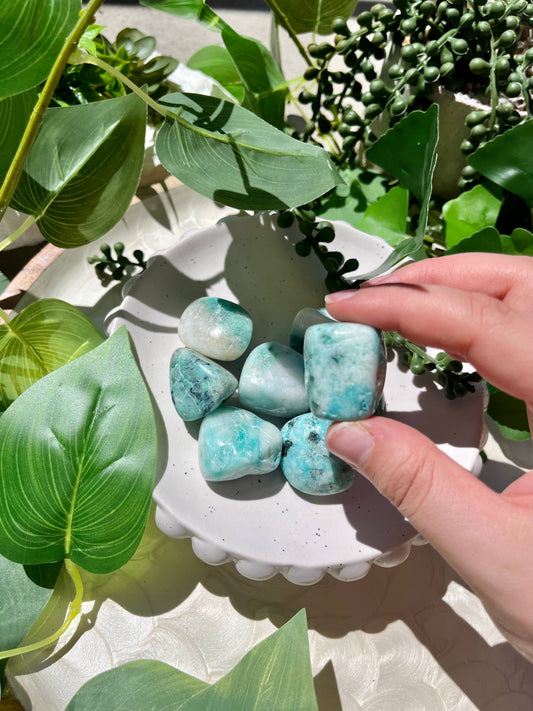 Phoenix Stone Tumble