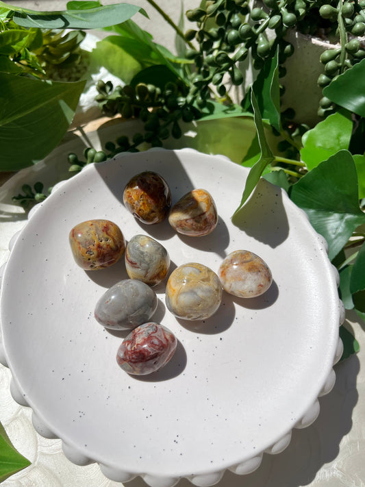 Flower Agate Tumble