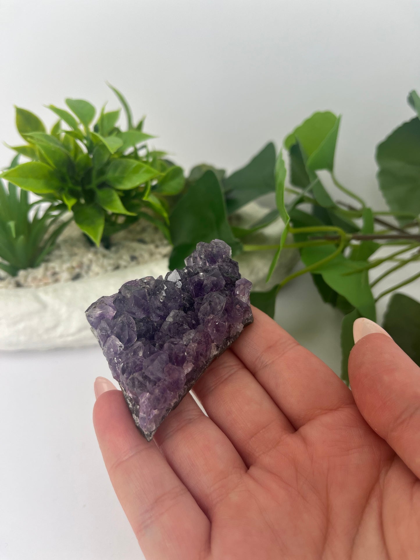 Amethyst Cluster